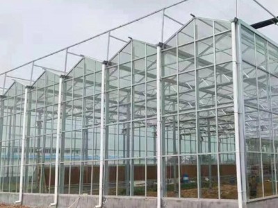 智能展覽玻璃溫室大棚廠家制作 生產設計安裝一體化服務溫室大棚