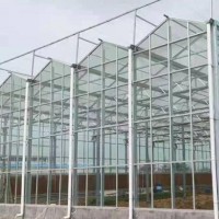 智能展覽玻璃溫室大棚廠家制作 生產設計安裝一體化服務溫室大棚